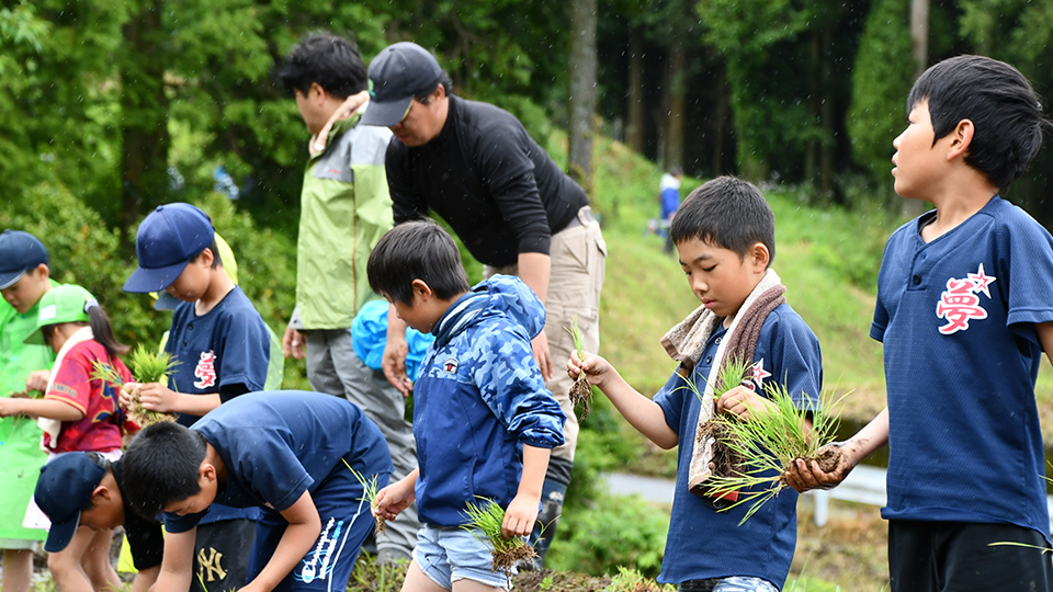 阿蘇耕作放棄地での水田復活