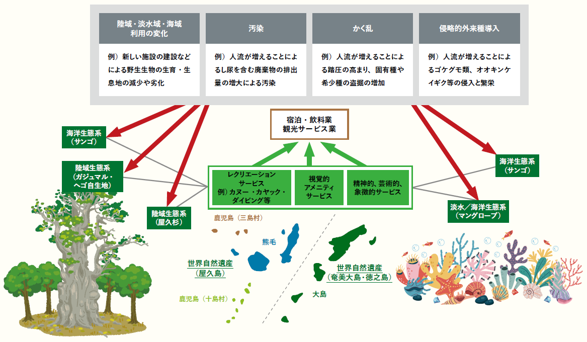 鹿児島県の「世界自然遺産と観光業の間の依存・インパクトの相互関係」